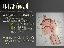贝博体育入口 -^?Q?2咽揟!(α和β的关系)